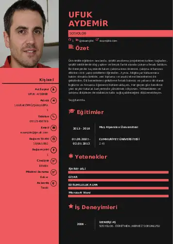 Sosyolog Cv Örnekleri cv indir